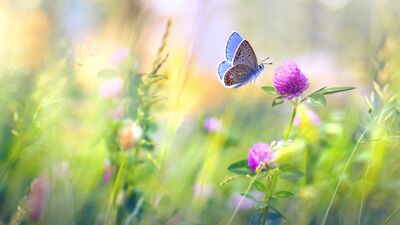 Bahar kapıda, haydi kutlayalım!