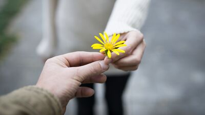 Farkların zenginliği içinde mutluluk