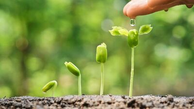 Doğal Yaşam Festivali başlıyor!