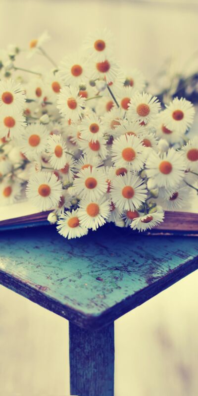 Severek okuyacağınız 5 psikolojik roman