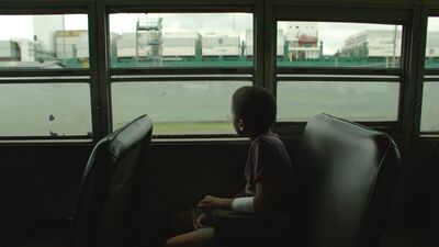 Acımasız bir dünyada ayakta kalabilmek...