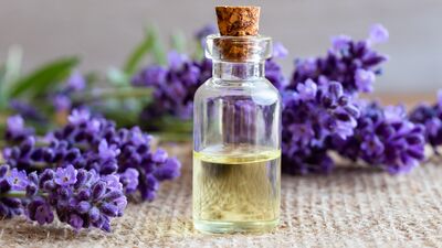 Strese karşı 6 etkili koku