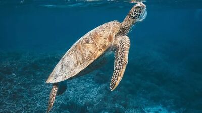 2019'un en güzel 30 seyahat fotoğrafı