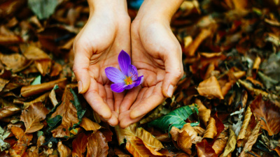 Açıklayıcı alternatif metin