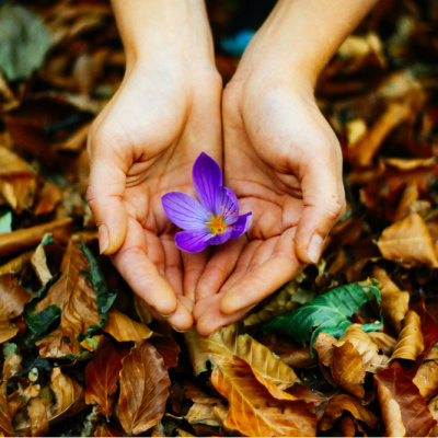 Aşk, sevgi ve nefret sözleri