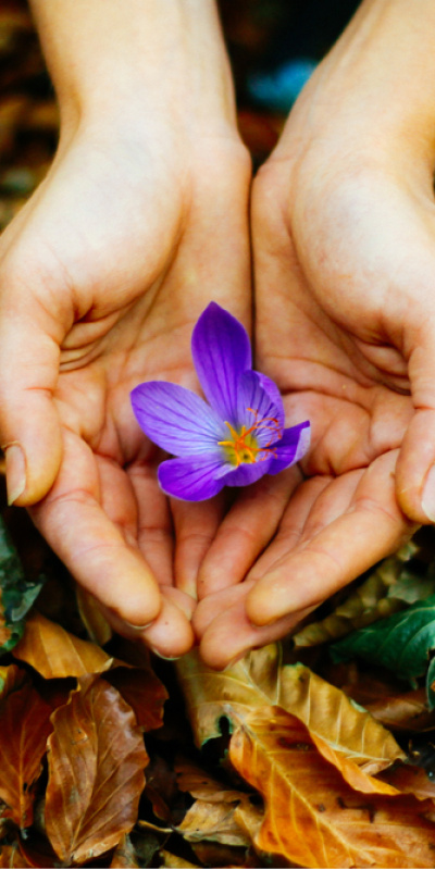 Aşk, sevgi ve nefret sözleri