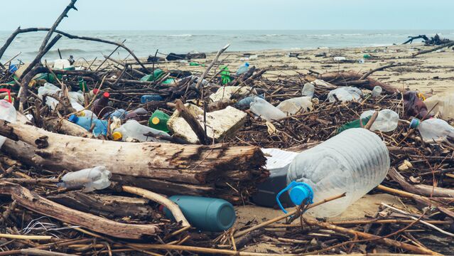 Plastik, nesilleri bozuyor!