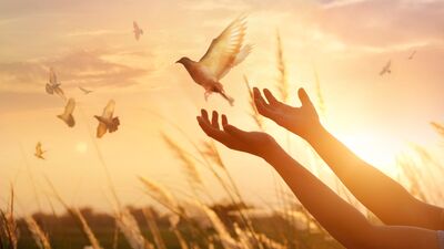 Huzur çok uzakta değil