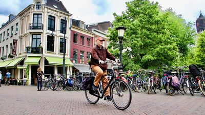 Hollanda'da yeşil çatılar