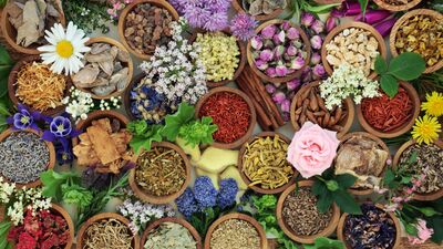 Bitkilerle güzellik