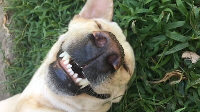 Yeni bir güne gülümsemek