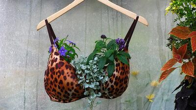 "Kendin yap" fikrini çok yanlış anlamak