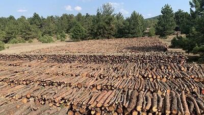 Kaz Dağları&#039;nda neler oluyor?