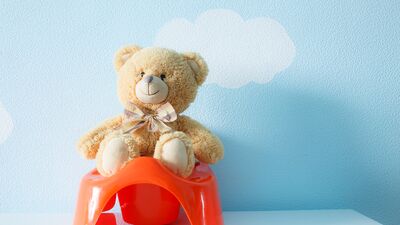 A&#039;dan Z&#039;ye tuvalet eğitimi