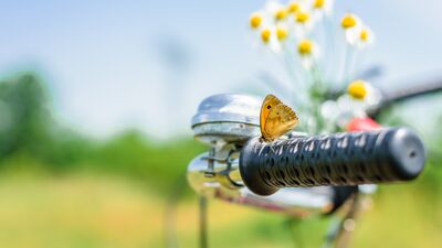 Mutsuzluğun içinde mutluluğu bulmak...