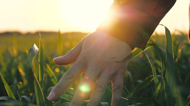 Açık fikirli olmanın faydaları