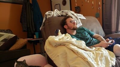 Ev arkadaşınız bir kedi olsaydı...