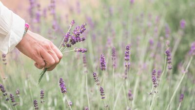 Kendiniz olmaktan utanmayın!