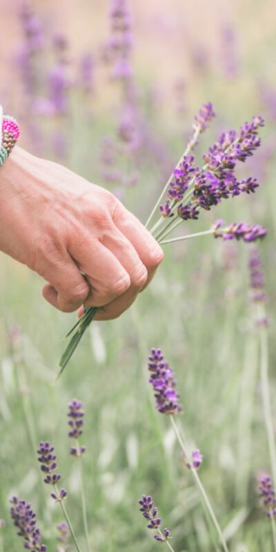 Kendiniz olmaktan utanmayın!