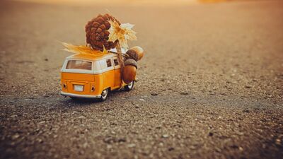 Eylül... Şiir aşk hazan bağ bozumu…