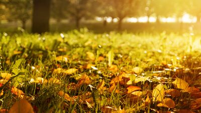 Şekilden şekle bürünen &quot;Eylül&quot;