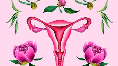 Dünyanın ilk Vajina Müzesi açılıyor