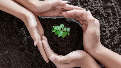 Hepimiz dava arkadaşıyız