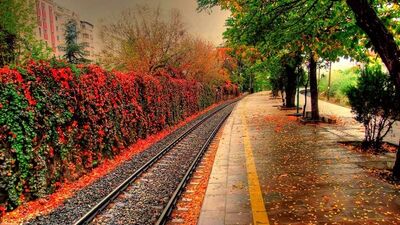 Ankara'da sonbahar, sonbaharda Ankara