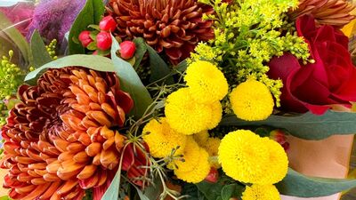 Sonbaharı renklendiren 10 favori çiçek