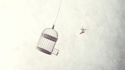 Özgürlük dediğimiz