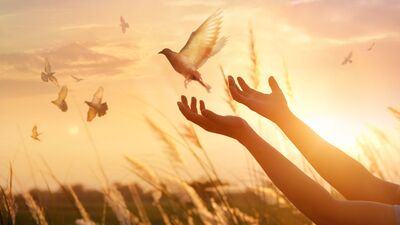 "Affetmek" diye mucize bir şey var...