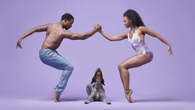 Bale dansçıları vs. köpekler