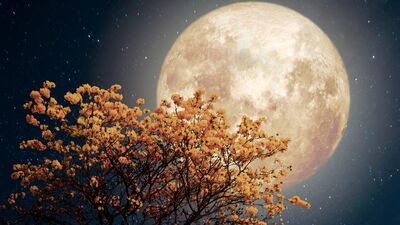 Ünlü astrologlardan Boğa Dolunay'ı yorumu