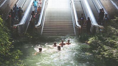 Doğanın distopyası