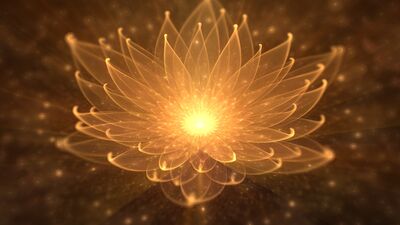 Meditasyon yapanlar hataları daha çabuk fark ediyor