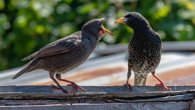 Sürekli acıkma haline 8 çözüm