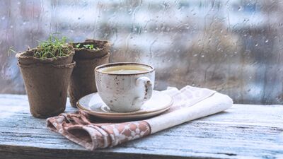 Her yer kestane tadında...