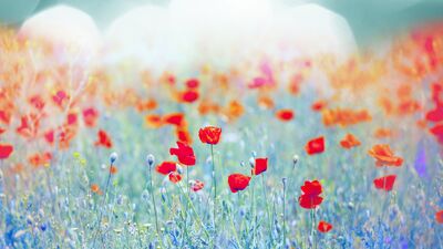 Sahi kaybetmeden ne kadar kıymet biliyoruz?