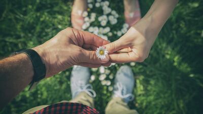 Akıl karışınca…