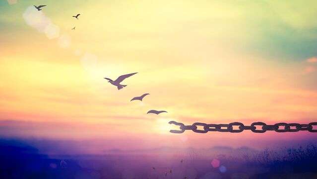 Çaresizsen çare sensin