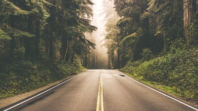 Efsunlu güzellik ve göz kapatan bağımlılık