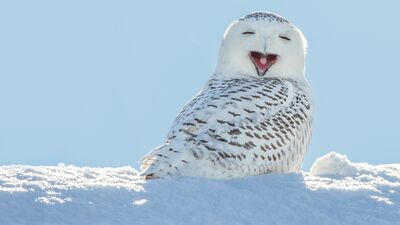 2019'un en mutlu 30 haberi