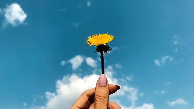 Hafızanıza iyi gelmeyen 5 aktivite