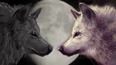 İçimizde iki kurt yaşıyor