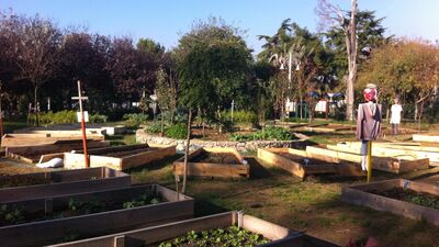 Kentte tarım mümkün