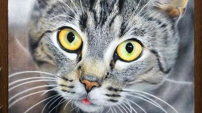 Bu kedilerin çizim olduğuna inanamayacaksınız!