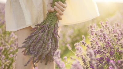 Oturma banyosu işe yarıyor mu?