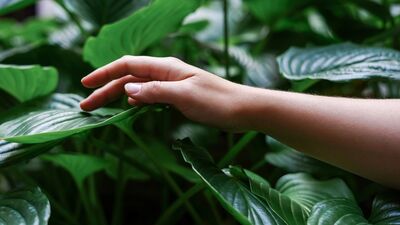  Niyetlerinizde net ve gerçekçi olun