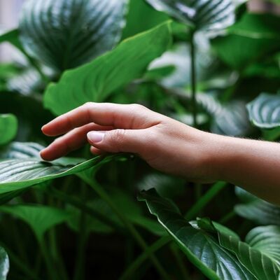 Niyetlerinizde net ve gerçekçi olun