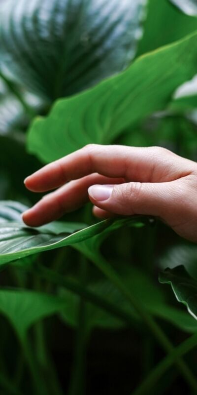 Niyetlerinizde net ve gerçekçi olun